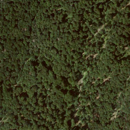 Satellite imagery of Homberg, DE