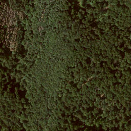 Satellite imagery of Homberg, DE