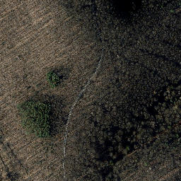Satellite imagery of Winterliete, DE