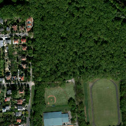 Satelita