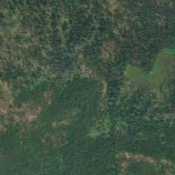 Satellite imagery of Mount Swimm, CA