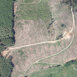 Satellite imagery of Bünte, DE