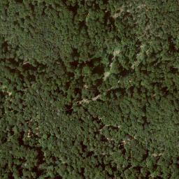 Satellite imagery of Homberg, DE