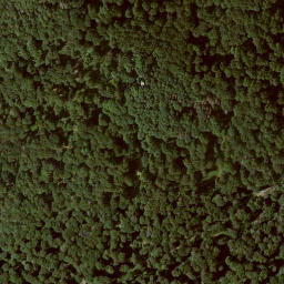 Satellite imagery of Homberg, DE