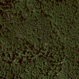 Satellite imagery of Homberg, DE