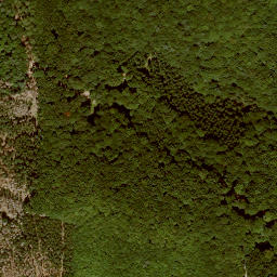 Satellite imagery of Kittersberg, DE