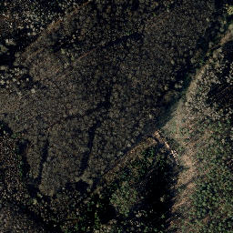 Satellite imagery of Winterliete, DE