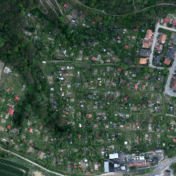 Satelita