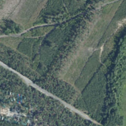 Satelita