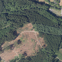 Satellite imagery of Dünnekenberg, DE
