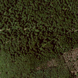 Satellite imagery of Homberg, DE