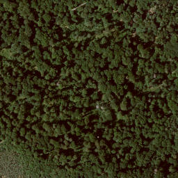 Satellite imagery of Homberg, DE