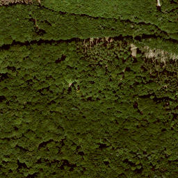 Satellite imagery of Kittersberg, DE