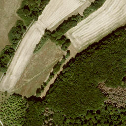 Satellite imagery of Großer Steinberg, DE