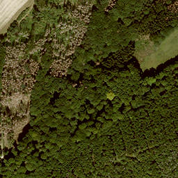 Satellite imagery of Großer Steinberg, DE