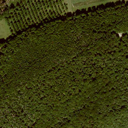 Satellite imagery of Großer Steinberg, DE