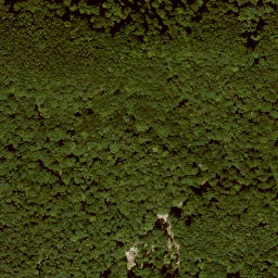Satellite imagery of Toter Mann, DE
