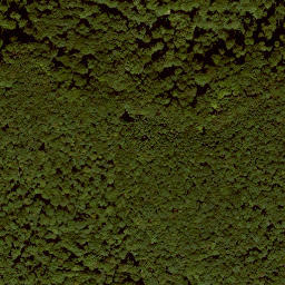 Satellite imagery of Graburg, DE