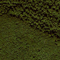Satellite imagery of Graburg, DE
