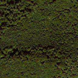 Satellite imagery of Schäferburg, DE