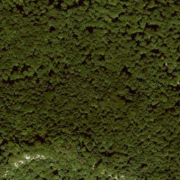 Satellite imagery of Schäferburg, DE