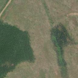 Satellite imagery of Mount Swimm, CA
