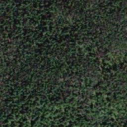 Satellite imagery of Mount Fraser, CA