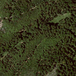 Satellite imagery of Immelberg, DE