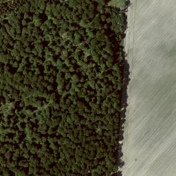 Satellite imagery of Immelberg, DE