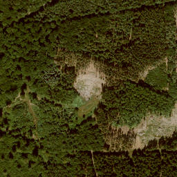 Satellite imagery of Falkenkopf, DE