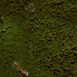 Satellite imagery of Kittersberg, DE