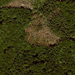 Satellite imagery of Schieberg, DE