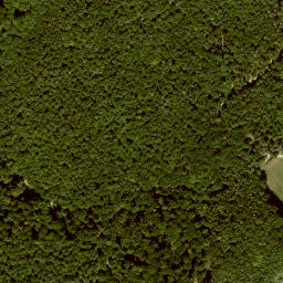 Satellite imagery of Großer Steinberg, DE