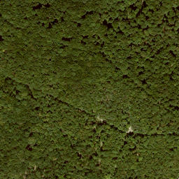 Satellite imagery of Vorberg, DE