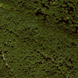 Satellite imagery of Vorberg, DE