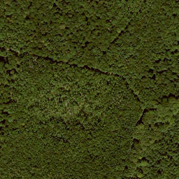 Satellite imagery of Graburg, DE