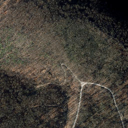 Satellite imagery of Breitenberg, DE