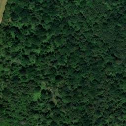 Satellite imagery of Ashleys Copse, GB