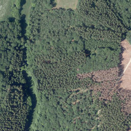 Satellite imagery of Horst, DE