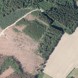 Satellite imagery of Horst, DE