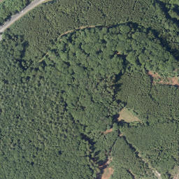 Satellite imagery of Langenohl, DE