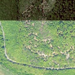 Satellite imagery of Immelberg, DE