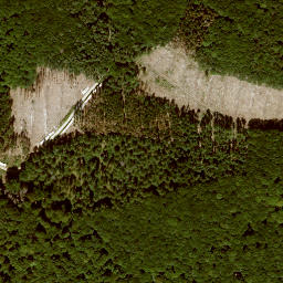Satellite imagery of Ameisenberg, DE