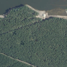 Satelita