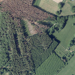 Satellite imagery of Horst, DE