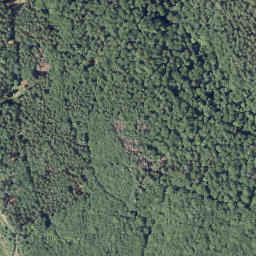 Satellite imagery of Rosenberg, DE
