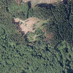 Satellite imagery of Rosenberg, DE
