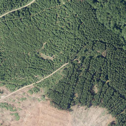 Satellite imagery of Kirchberg, DE