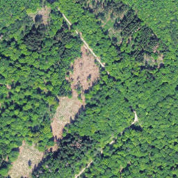 Satellite imagery of Falkenkopf, DE