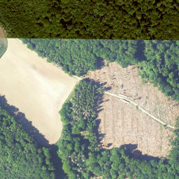 Satellite imagery of Burgberg, DE